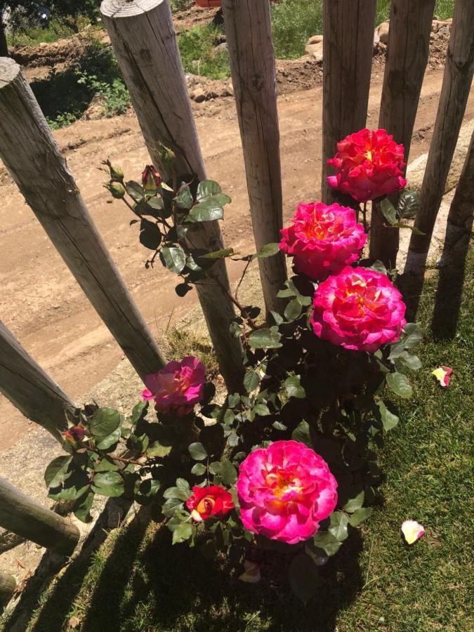 Casa De Ribadouro Homestay